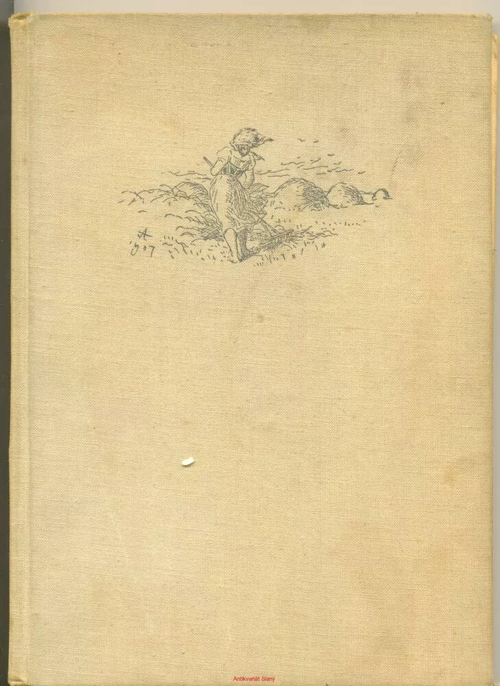 D.M.Pavlíček- Domov