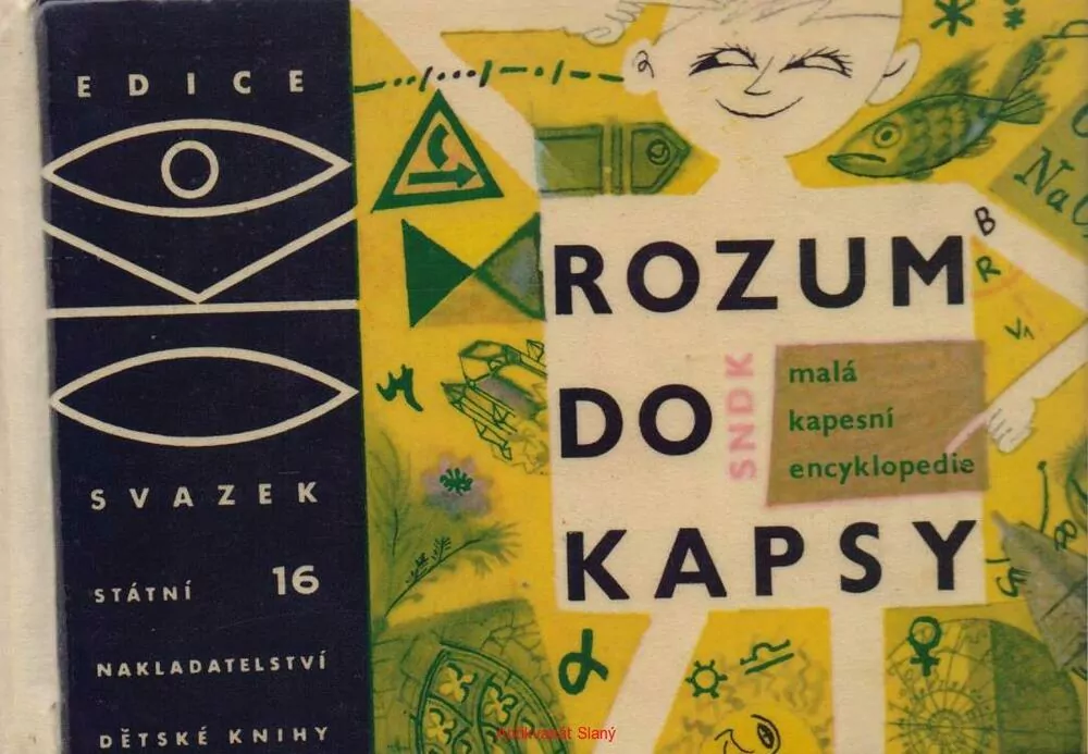 Kolektiv autorů / ROZUM DO KAPSY