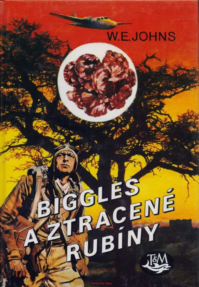 W. E. Johns / BIGGLES A ZTRACENÉ RUBÍNY