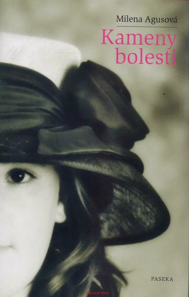 Milena Agusová /KAMENY BOLESTI