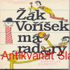 D. Dušková - ŽÁK VOŘÍŠEK MÁ RADARY 