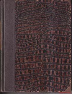 MARKÝZ J.G. de LASSER-LEVOBOČEK NAPOLEONŮV III. díl