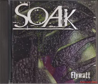 SOAK FLYWATT      31040-2