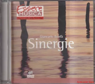 GIANCARLO BONFÁ  SINERGIE   ESSERE MUSICA
