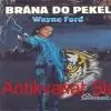 Wayne Ford - BRÁNA DO PEKEL
