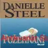 Danielle Steelová - POŽEHNÁNÍ 