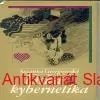 Susanna Georgijevská - LÁSKA A KYBERNETIKA