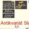 ATLAS ALPÍNEK