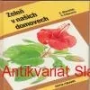 Eva Novotná - ZELEŇ V NAŠICH DOMOVECH 