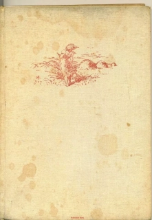 D.M.Pavlíček- Domov